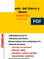 Biosintesis Del Hemo y Hierro