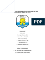 Kelompok 2 Isolasi DNA