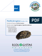 PDF Ficha Platella