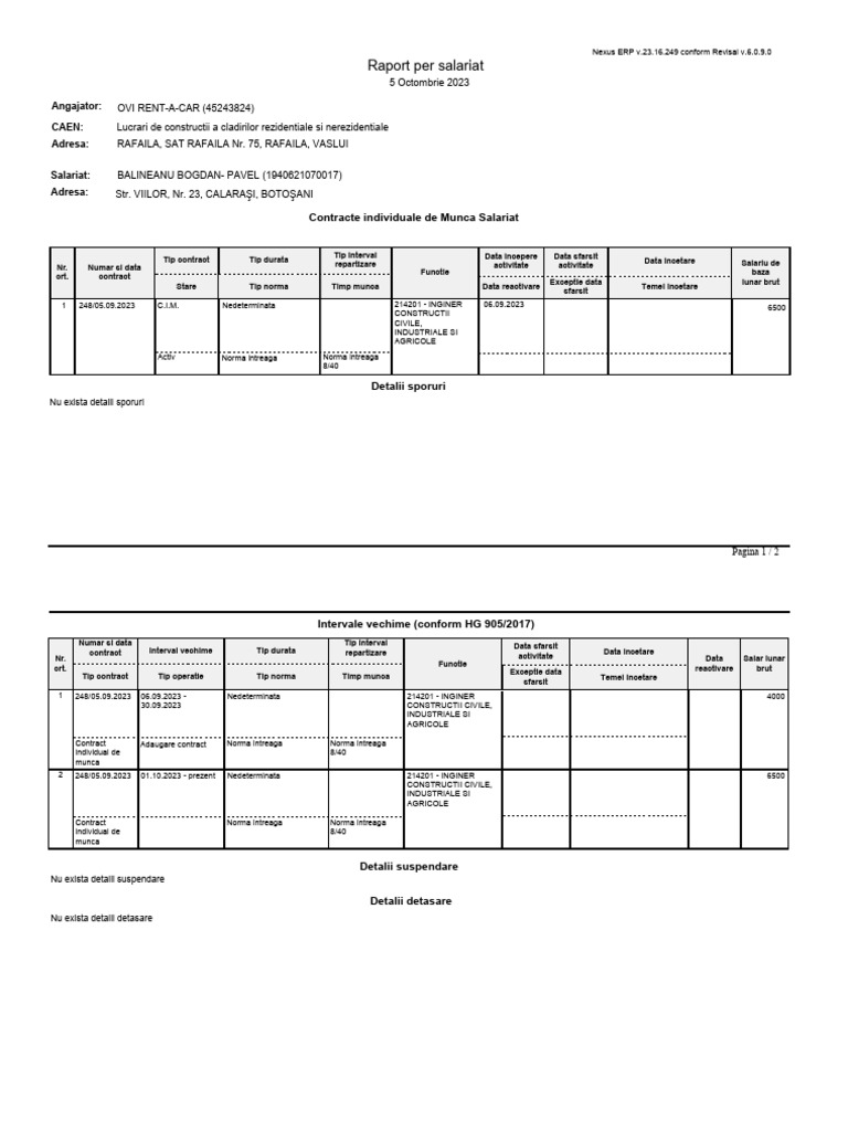 (S.C. OVI RENT-A-CAR S.R.L.) Raport - Per - Salariat - (Revisal) | PDF