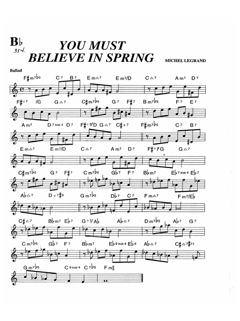 You must believe in spring pdf