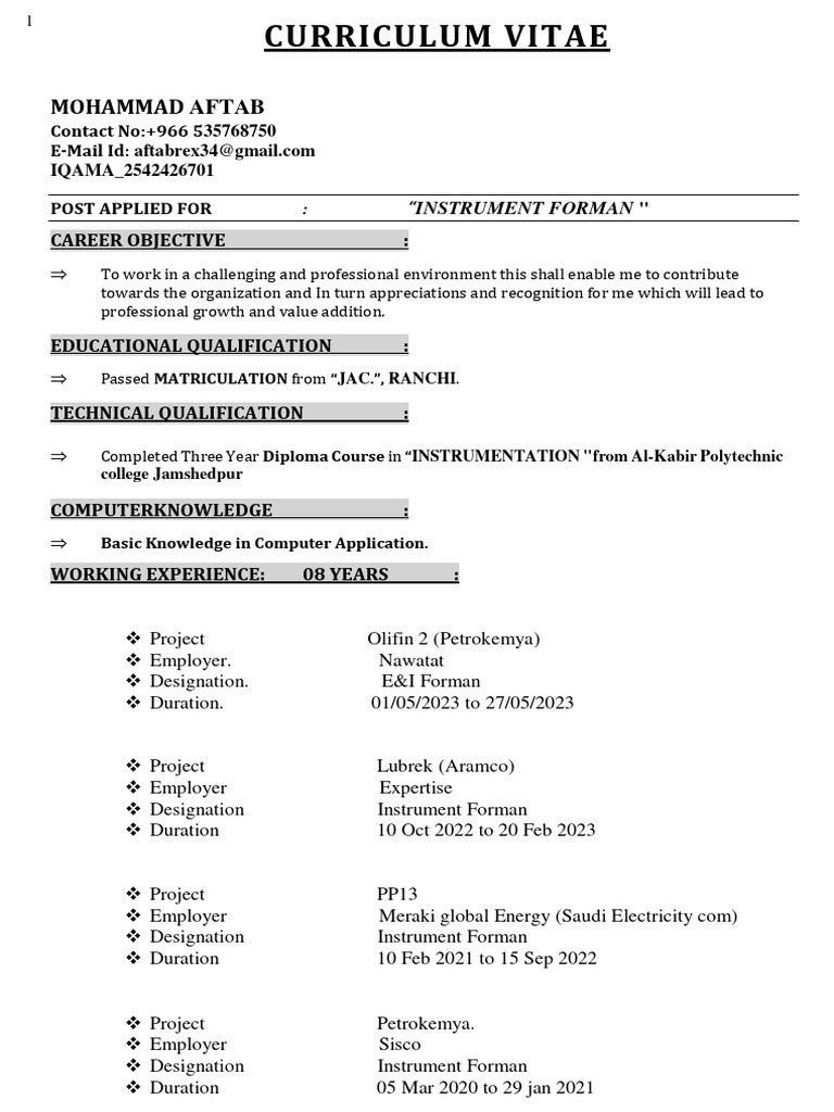 Instrument Foreman CV - MD Aftab | PDF