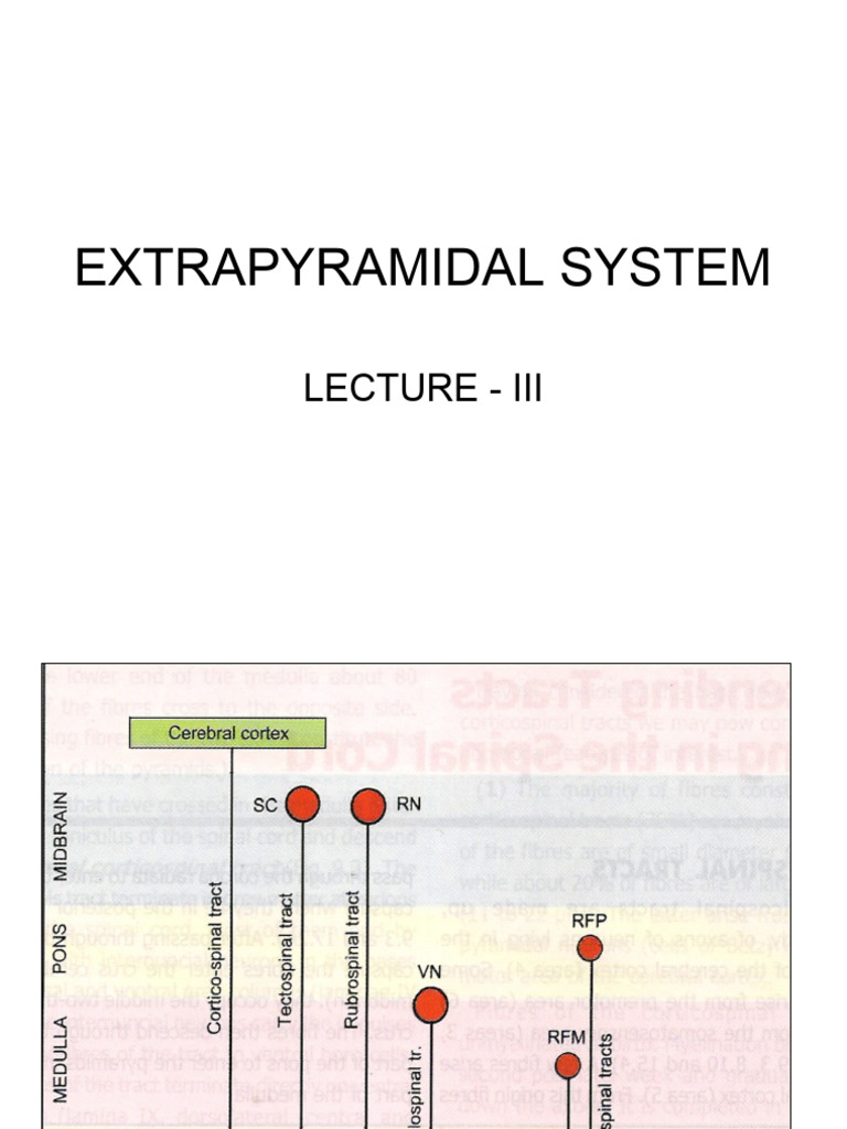 Extra Pyramidal Tracts Pdf