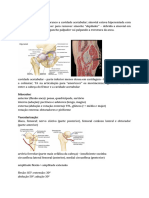 Ortopedia - Patologia Da Anca (TP)