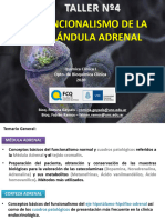 Teórico Práctico Funcionalismo Glandula Adrenal Corregido