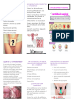 Candidiasis Vaginal Triptico