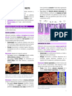 Patología Del Sistema Digestivo Bajo