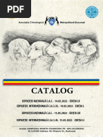 Porno qora tanlilar eshaklarni yirtib tashlashadi