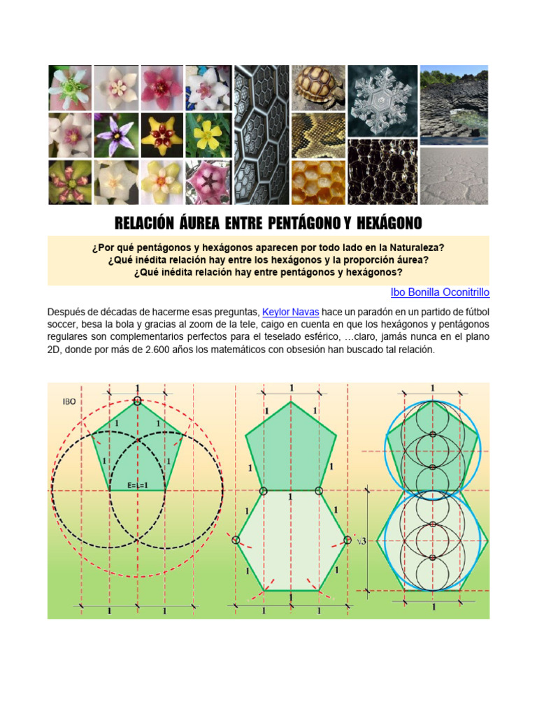 Mosaico hexagonal mosaico triángulo, hexágono, rectángulo, triángulo,  simetría png | PNGWing, image size:768x1024