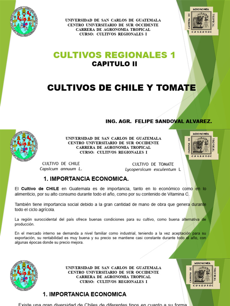 Cultivos De Chile Y Tomate Capitulo 2 Pdf