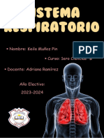 Sistema Respiratorio