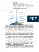 Examenul de Bacalaureat Naţional 2018 Proba de Evaluare A Competenţelor Digitale - Document de Lucru