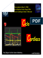 Aula Ciclo Cardiaco (Modo de Compatibilidade)