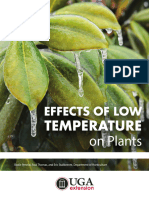 Effects of Low Temperature On Plants