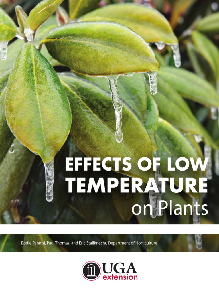 Effects of Low Temperature On Plants | PDF | Frost | Greenhouse