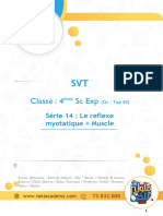 641090f8300d8 - Énoncé - Reflexe Myotatique Muscle Série14