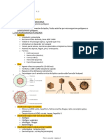 FISIO Resumen 2