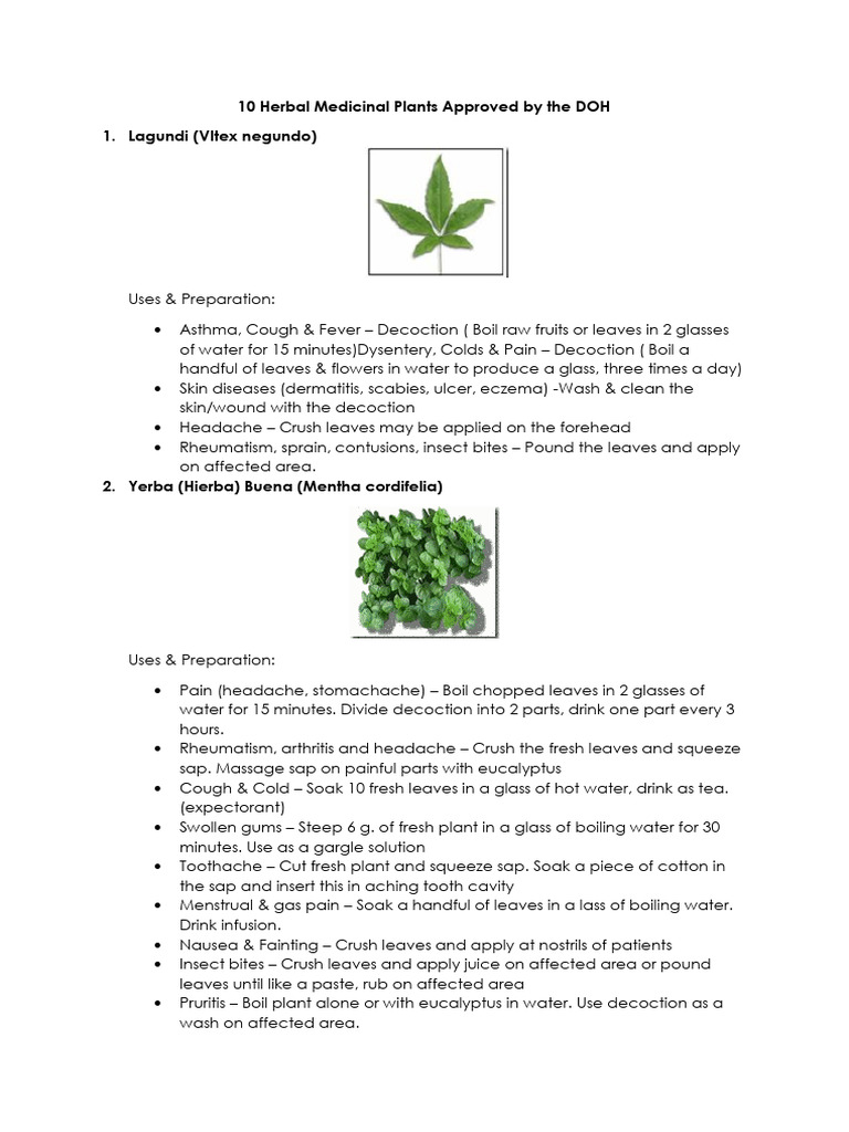 10 Herbal Medicinal Plants Approved by The DOH Download Free PDF