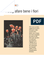 Fotografare I Fiori