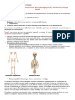 Anatomia Humana 26