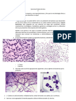 Ejercicios Final de Tema 2 Microbiologia