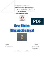 Dilaceracion Apical-1