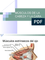 4.MÚSCULOS DE LA CABEZA