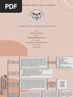 Cuadro Sinóptico-Las Medidas Cautelares en La Legislación Procesal Penal Mexicana