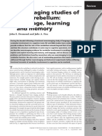 Neuroimaging Studies of The Cerebellum Language