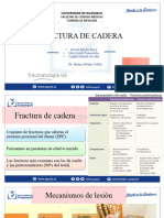 Exposicion de Fractura de Cadera Sub 2-G6