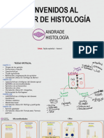 Tejido Epitelial - Parte II