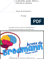 areas-de-brodmann-fl-158291-downloadable-2591907