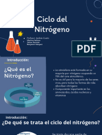 Ciclo Del Nitrógeno: Profesor: Andrés Cueto