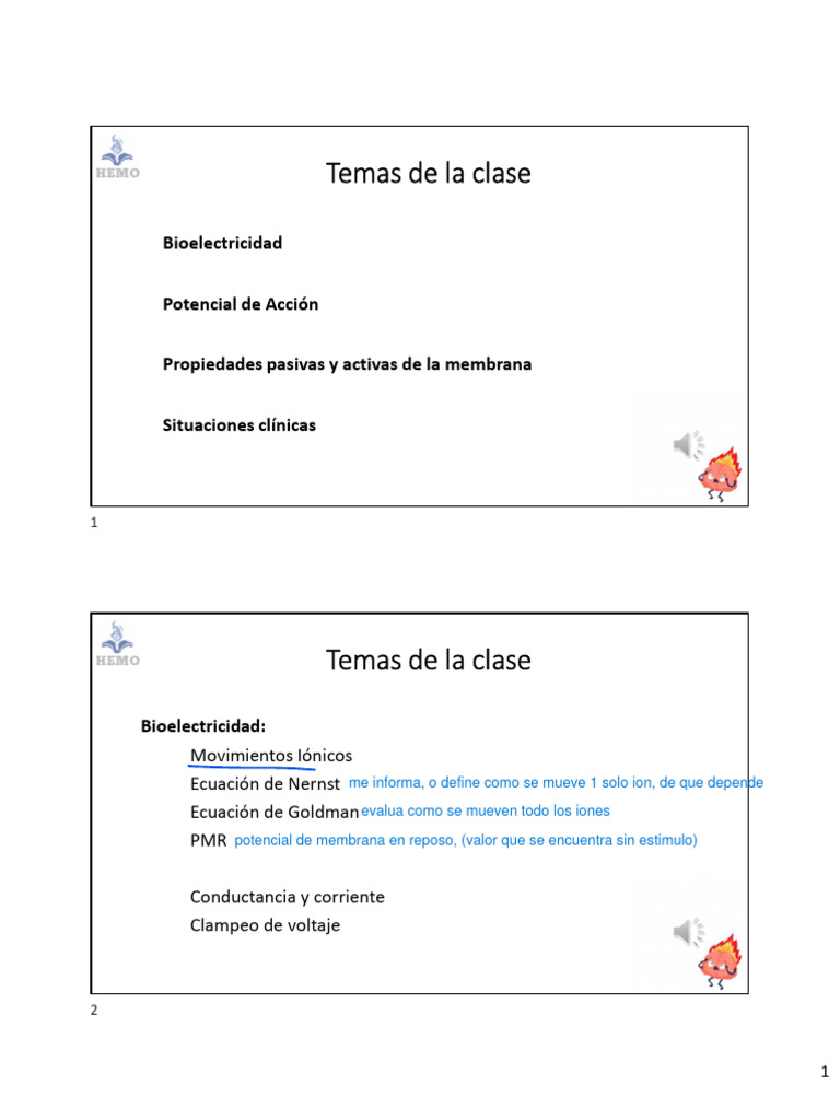 Neuro Fisio | PDF | Sinapsis | Potencial de acción