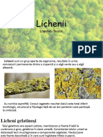 Lichen I