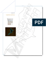 PDF Quadro de Tubarões