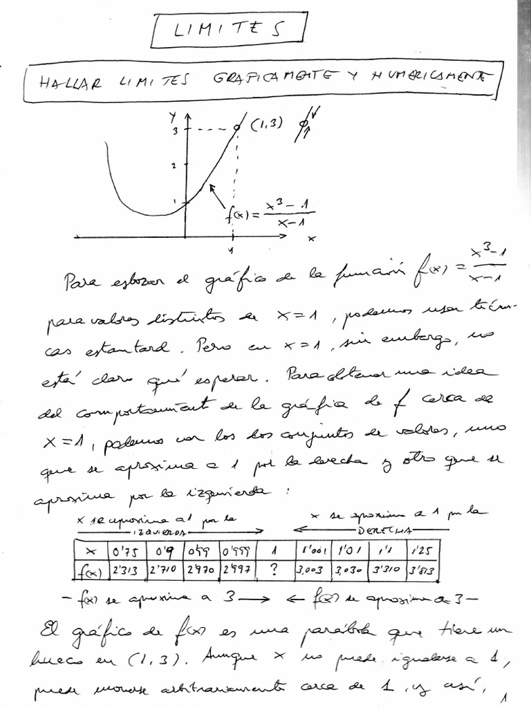 Calculus Larson PDF Guide | PDF