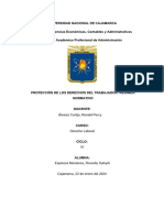 Proteccion de Los Derechos Del Trabajador - Régimen Normativo PDF