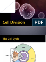 Cell Division