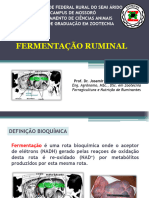 3a Aula Fermentação Ruminal