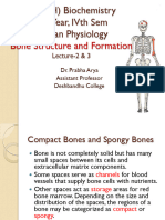 BC (H) - IV-Human Physiology-Bone Structure and Formation-2 & 3