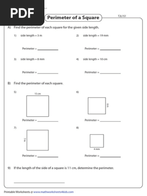 square_perimeter_metric_integers-t2-l1-all