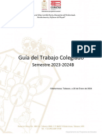 Guía Trabajos Colegiados General Enero 2024