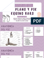 Pie Plano y Pie Equino