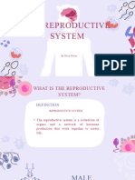 The Reproductive System (1)