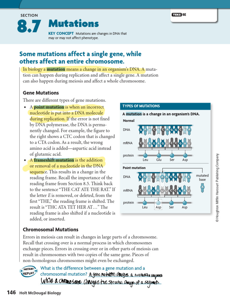 Ch+08 7+mutations | PDF | Mutation | Genetic Code