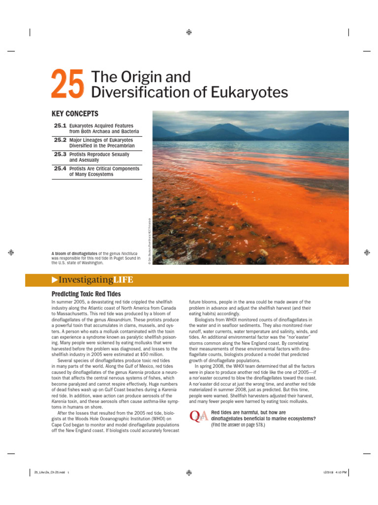 Ch25Life The Science of Biology 12th Ed 2020 PDF Eukaryotes Cell (Biology)