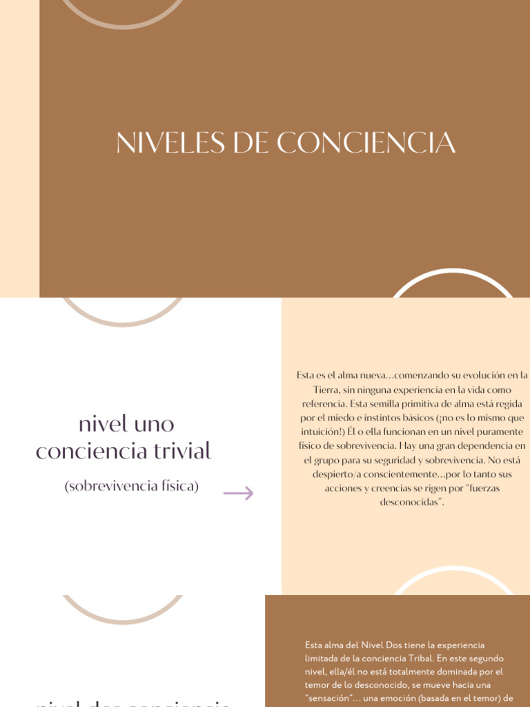 Niveles de Conciencia | PDF | Las emociones | Alma