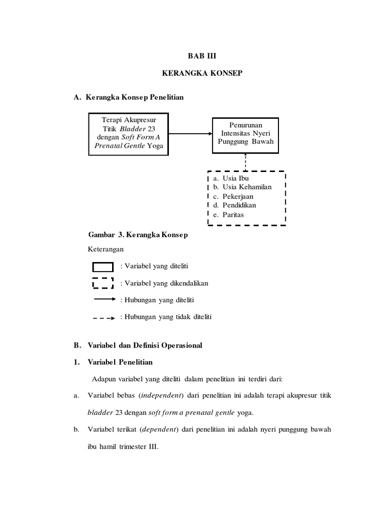 BAB III Kerangka Konsep Penelitian | PDF