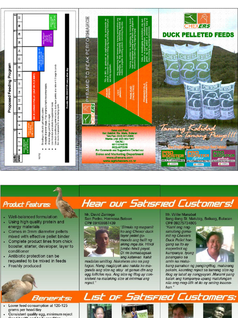 Duck Brochure | PDF